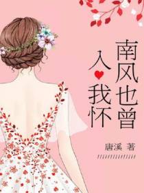 南风也曾入我怀