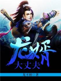 龙婿大丈夫纳兰梦