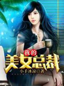 我的美女总裁萧逸沈静
