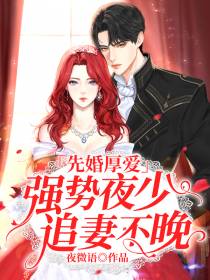 乔佳音夜凌琛先婚厚爱