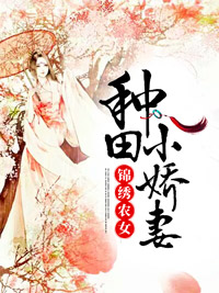 苏芷沅莫成聪