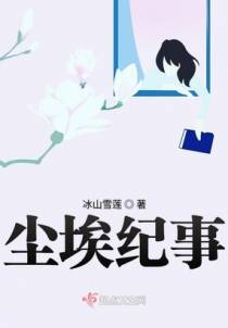 尘埃纪事