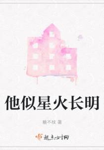 他似星火长明