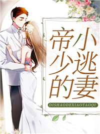 帝少的小逃妻梁以沫冷夜沉