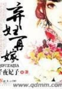弃妇再嫁