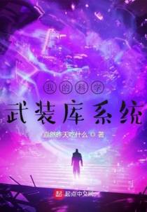 我的科学武装库系统