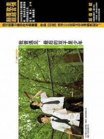 我曾遇见，最后的双子星少年
