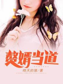 赘婿岳风柳萱