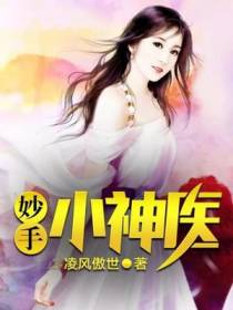 妙手小神医叶辰枫