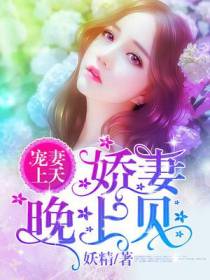 夏芷安陆霆深