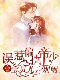 误惹偏执帝少：宝贝儿，别闹