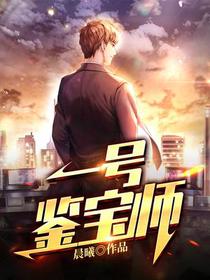 一号鉴宝师