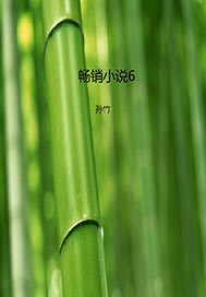 畅销图书6