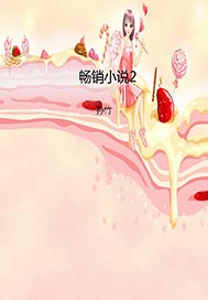畅销图书2