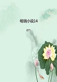 畅销小说14