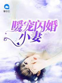 暖宠闪婚小妻