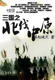 三国之北伐中原