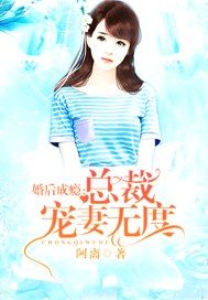 婚后成瘾：总裁宠妻无度