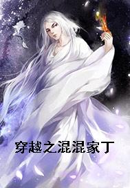 穿越之混混家丁