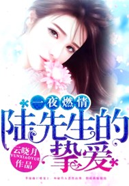 一夜燃情，陆先生的挚爱