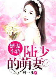 婚谋不轨：陆少的萌妻