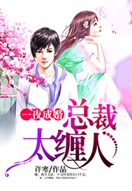 一夜成婚：总裁太缠人