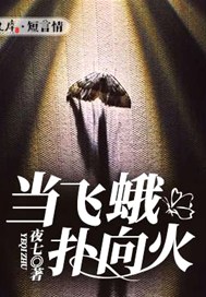 当飞蛾扑向火
