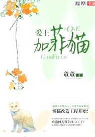 爱上加菲猫