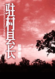 驻村县长