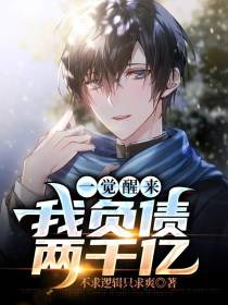 一觉醒来,我负债两千亿