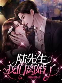 陆先生,我们离婚了