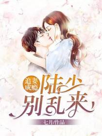 追妻成瘾：陆少别乱来