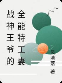 战神王爷的全能特工妻