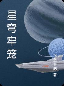 星穹牢笼