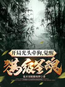 开局光头牵狗,觉醒满级圣魂