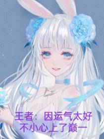 王者：因运气太好不小心上了巅一
