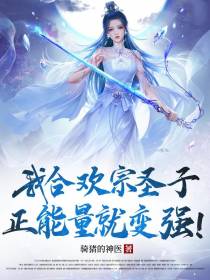 我合欢宗圣子,正能量就变强！
