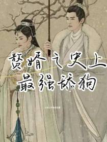 赘婿之史上最强舔狗