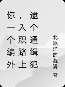 你一个编外,入职路上逮个通缉犯