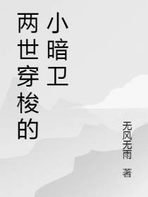 两世穿梭的小暗卫