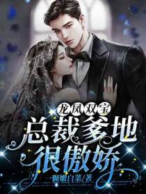 一胎二宝,封爷半夜宠妻请温柔