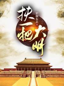 扶一把大明
