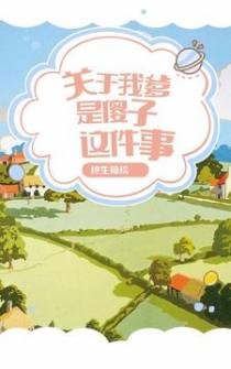 关于我爹是傻子这件事