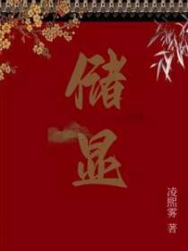储显