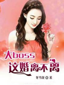 大boss,这婚离不离