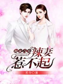 独家占有：辣妻,惹不起