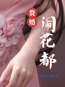 赘婿闹花都