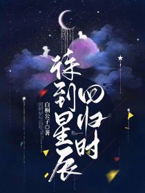待到星辰回归时