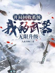 开局回收系统,我的武器无限升级