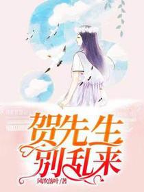 贺先生,别乱来